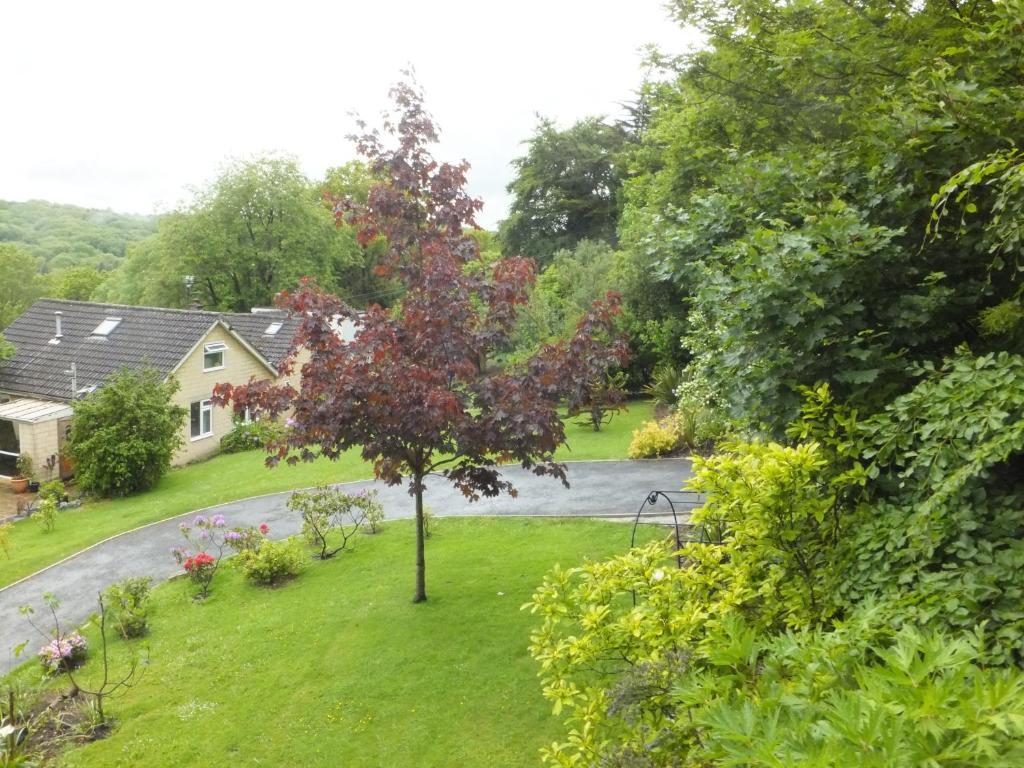 Shrubdown Bed & Breakfast Freshford Eksteriør bilde